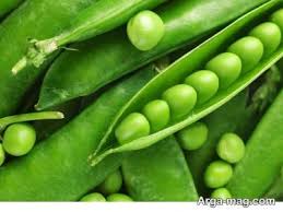 تصویر 1 از قیمت کنسرو نخود فرنگی 420 گرمی خوشمزه بسته 12 عددی + فروش ویژه